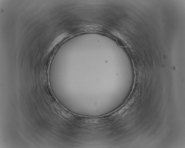 X0000071791211200607211613