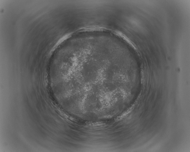 X0000071791213200607211613