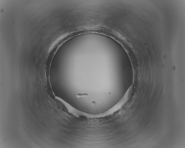 X0000071791214200607211613