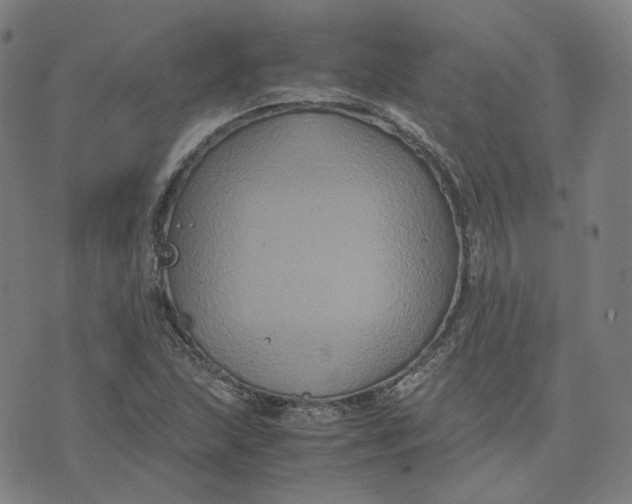 X0000071791215200607211613