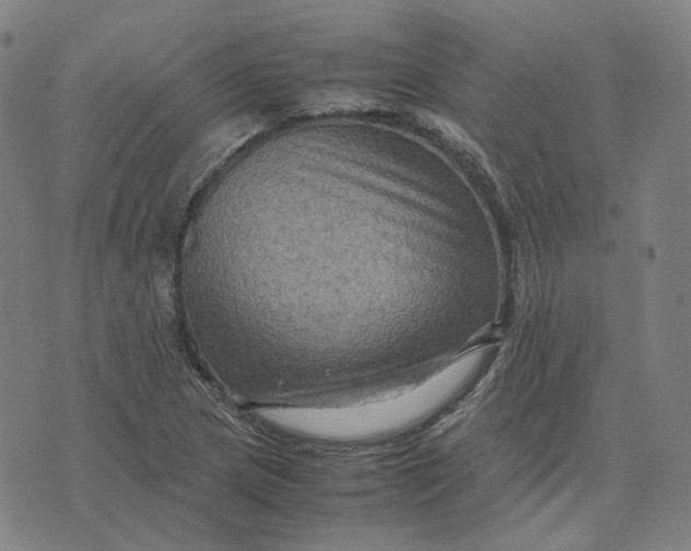 X0000071791217200607211614