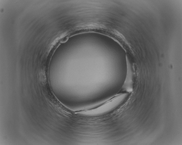 X0000071791218200607211614