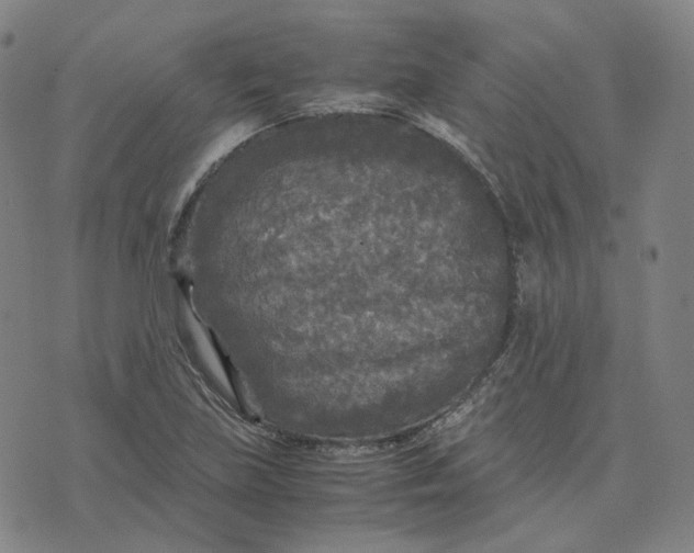 X0000071791219200607211614