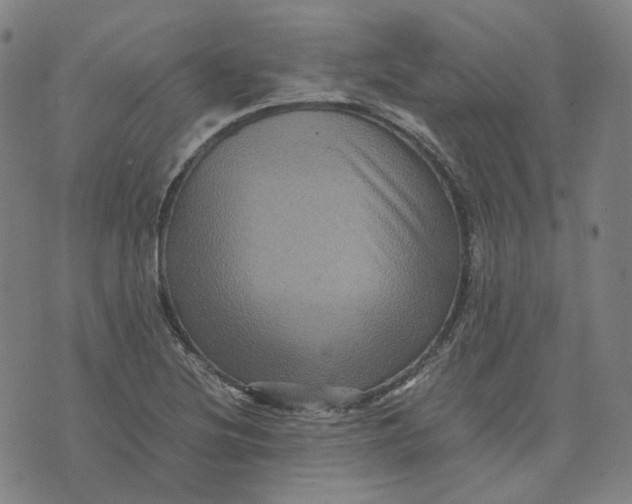 X0000071791220200607211614