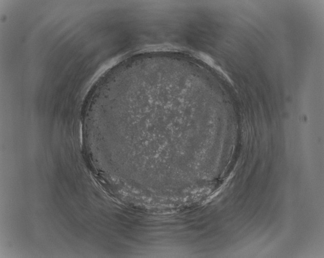 X0000071791221200607211614