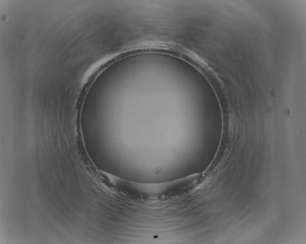 X0000071791222200607211614