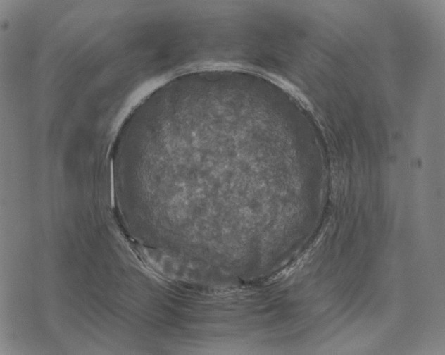 X0000071791223200607211614