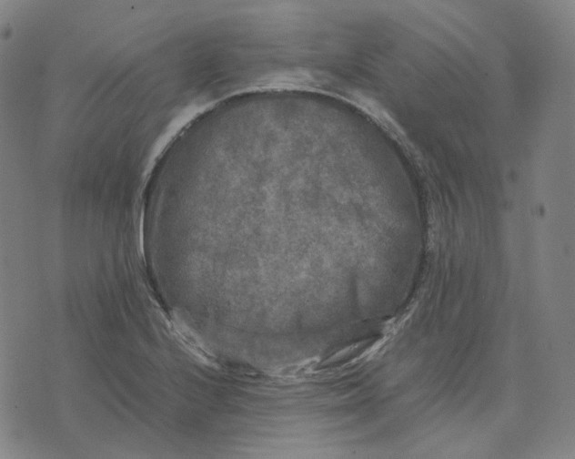 X0000071791224200607211614