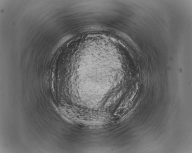 X0000071791225200607211614