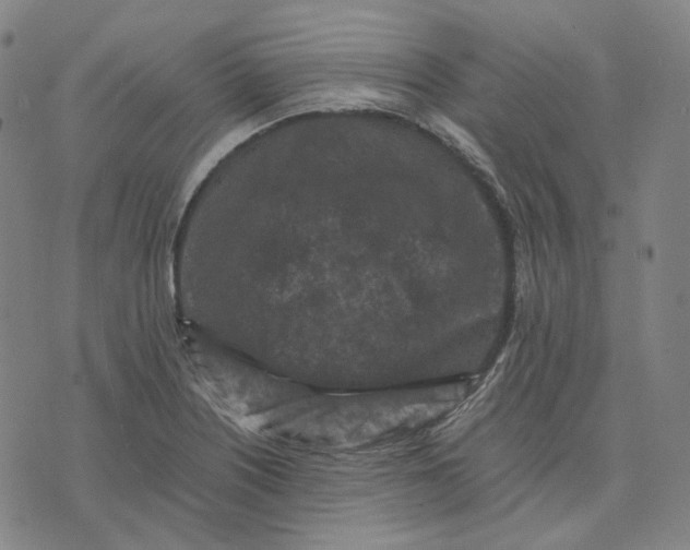 X0000071791226200607211614