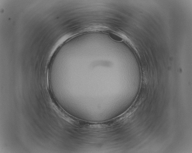 X0000071791227200607211614