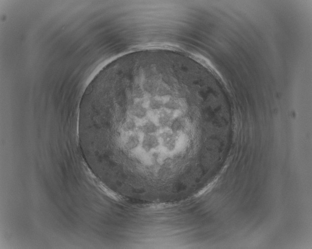 X0000071791228200607211614