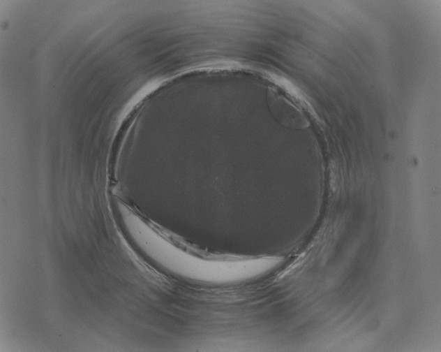 X0000071791229200607211614