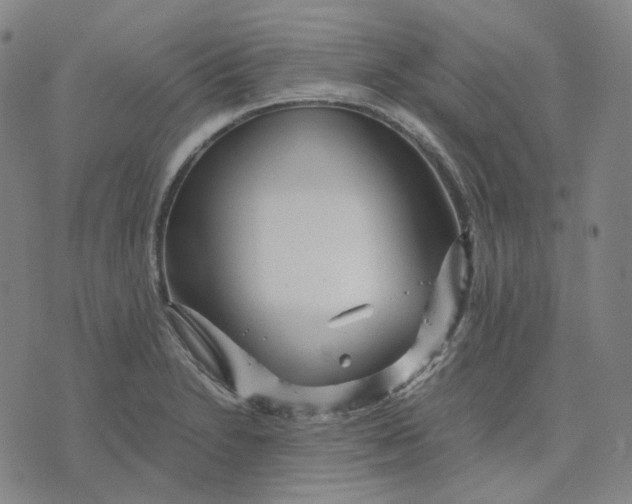 X0000071791230200607211614