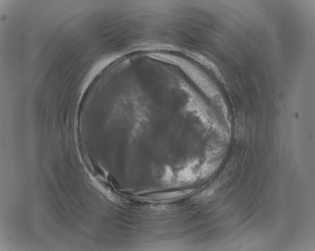 X0000071791231200607211614