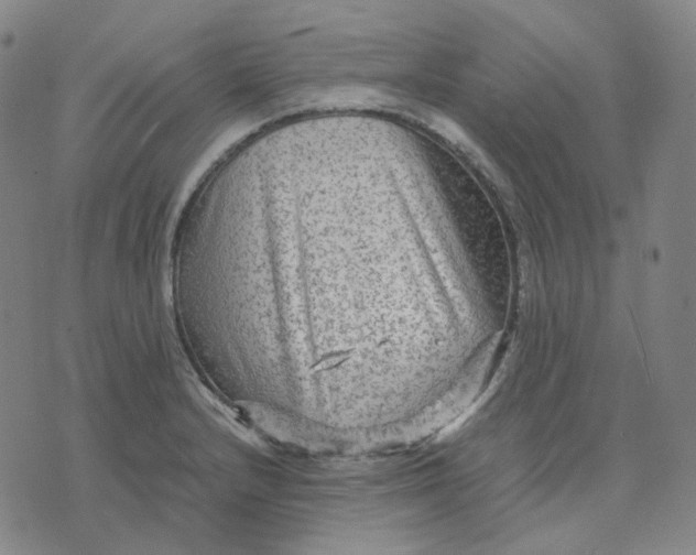 X0000071791232200607211614