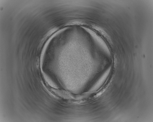 X0000071791233200607211614