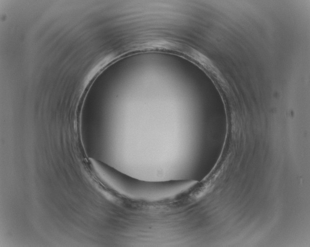 X0000071791234200607211614