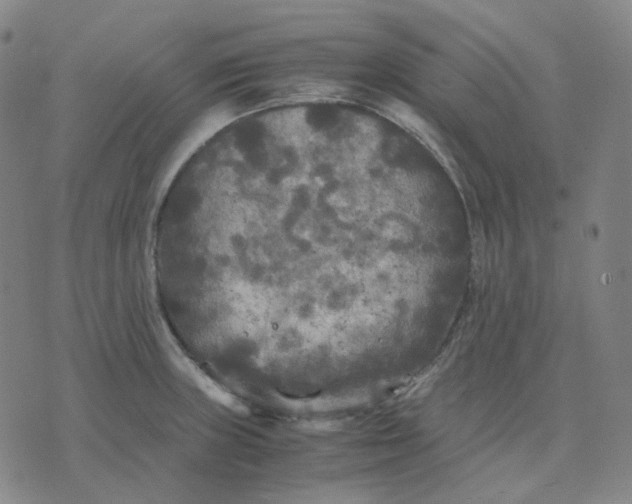 X0000071791235200607211614