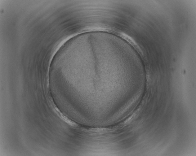 X0000071791236200607211614