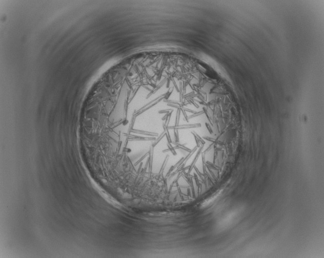 X0000071791237200607211614