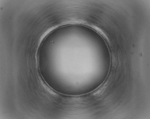 X0000071791238200607211614