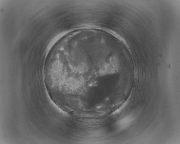 X0000071791239200607211614