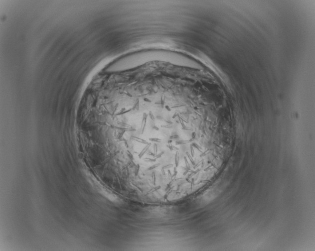 X0000071791240200607211614