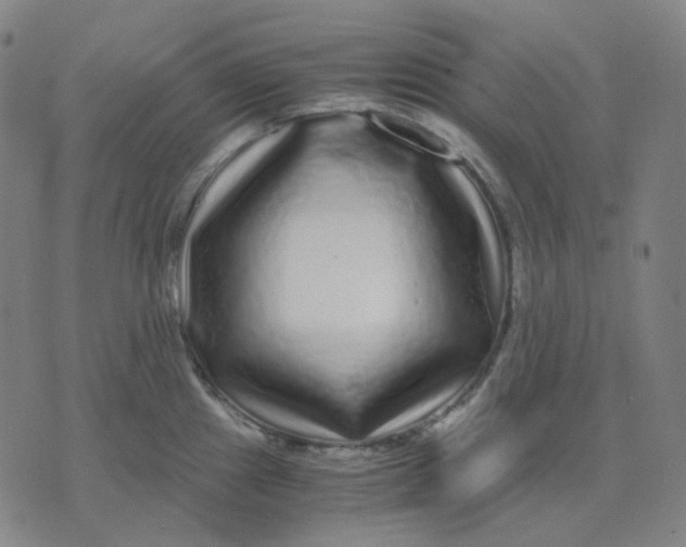 X0000071791241200607211614