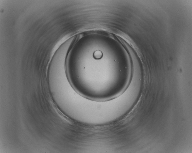 X0000071791242200607211614