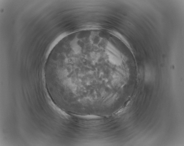 X0000071791243200607211614