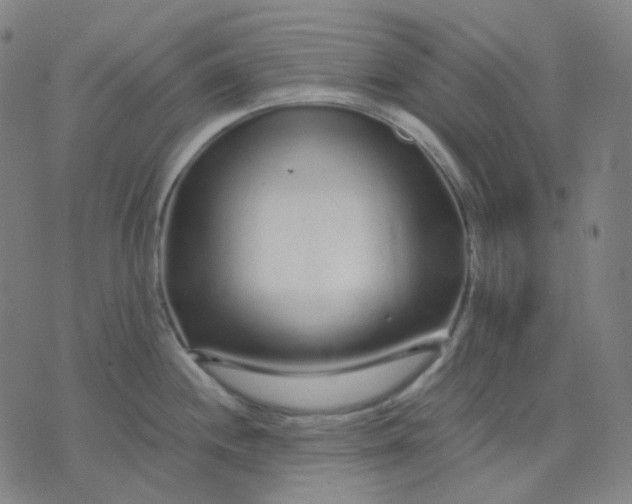 X0000071791244200607211614