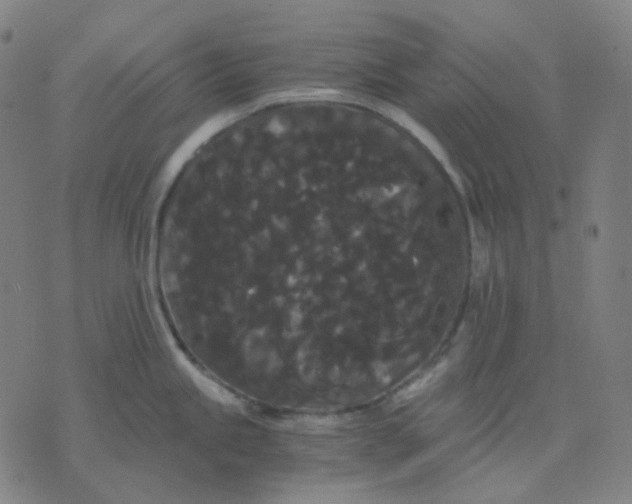 X0000071791245200607211614