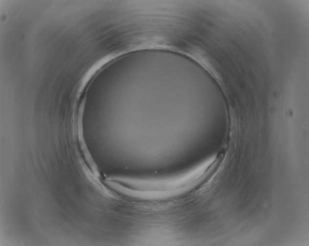 X0000071791246200607211614