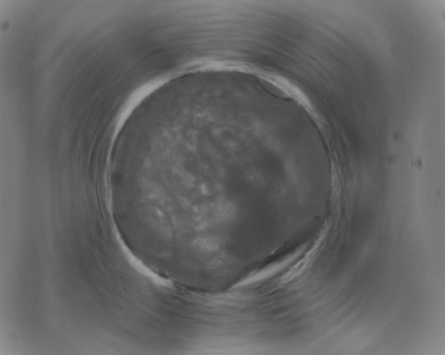 X0000071791247200607211614