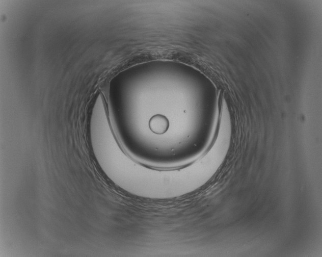 X0000071791249200607211613