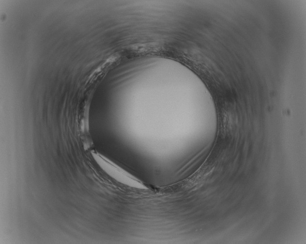 X0000071791250200607211613