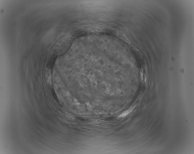 X0000071791251200607211613