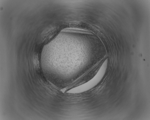 X0000071791252200607211613