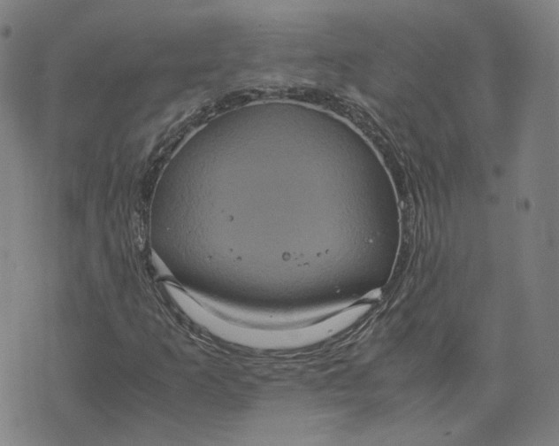 X0000071791253200607211613