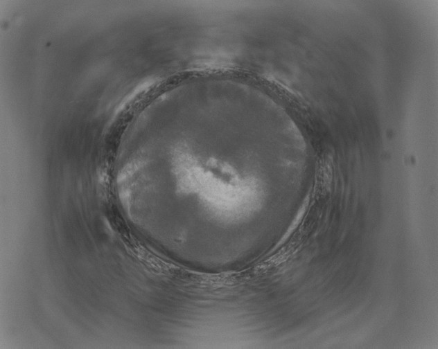 X0000071791254200607211613