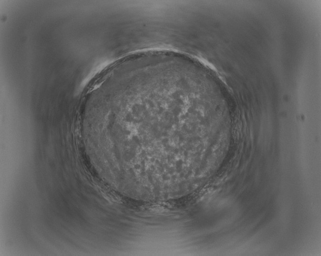 X0000071791255200607211613