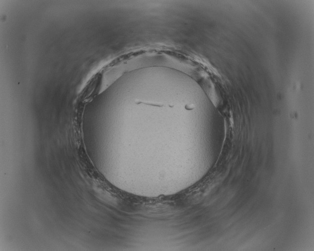 X0000071791256200607211613