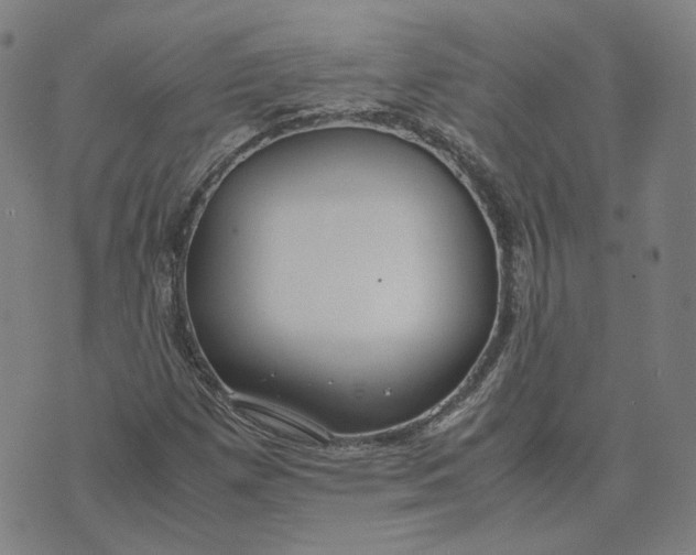 X0000071791257200607211613