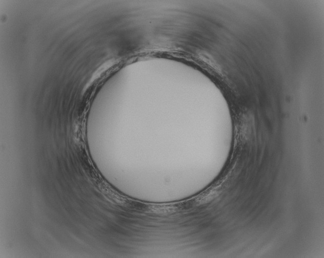 X0000071791258200607211613