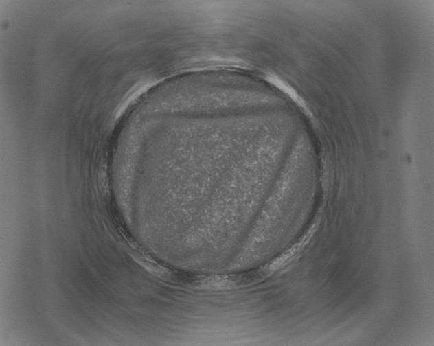 X0000071791259200607211613