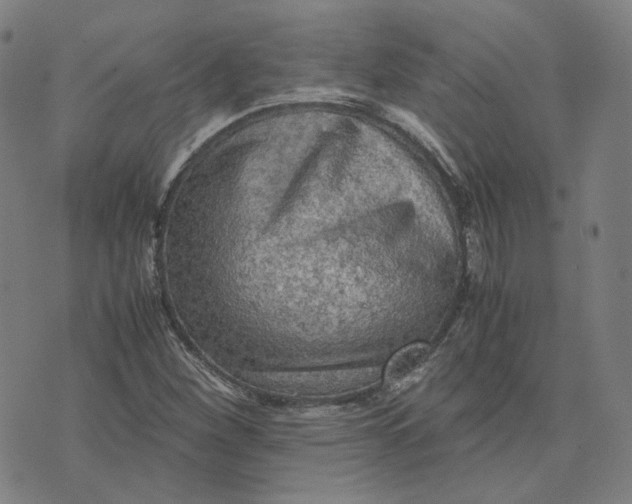 X0000071791260200607211613