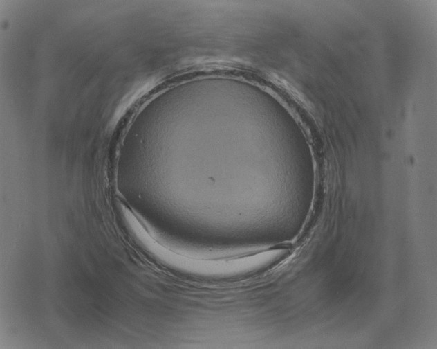 X0000071791261200607211613