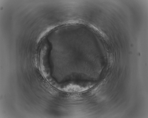 X0000071791262200607211613