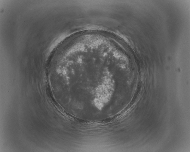 X0000071791263200607211613